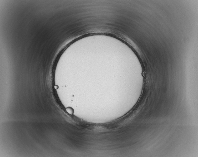 X0000115080787200911241141