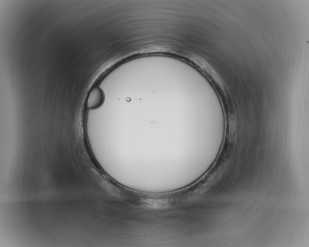 X0000115080789200911241141