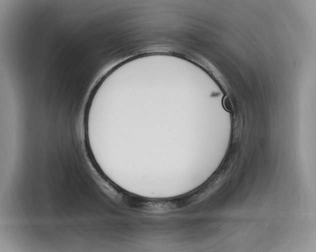 X0000115080795200911241141