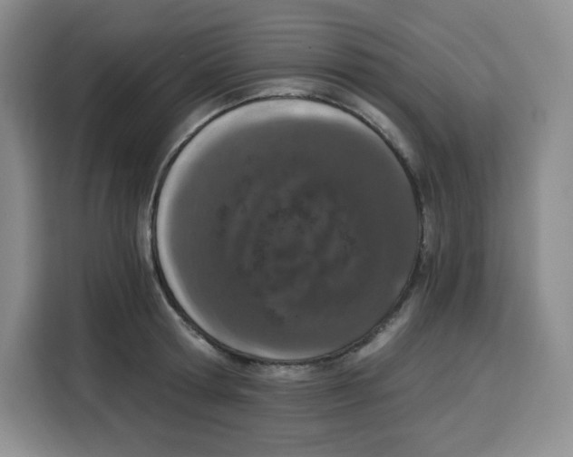 X0000115080802200911241141