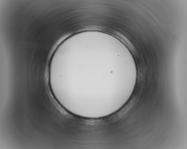 X0000115080804200911241141