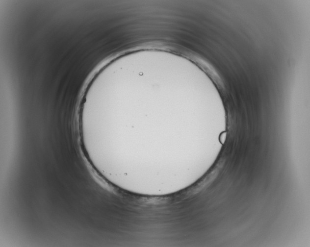 X0000115080808200911241141