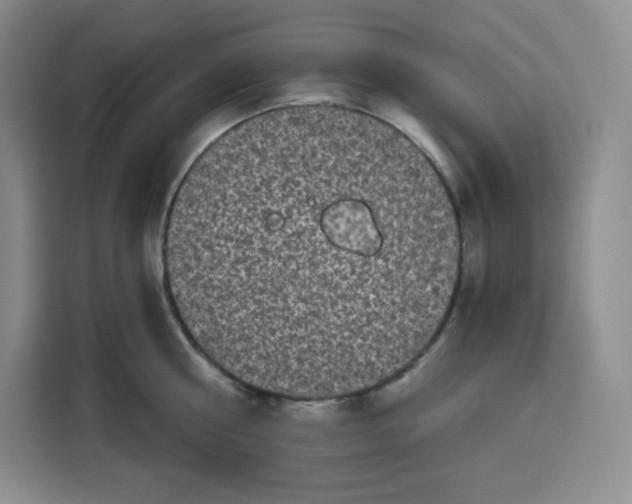 X0000115080810200911241141