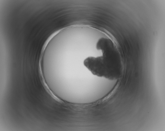X0000115080812200911241141