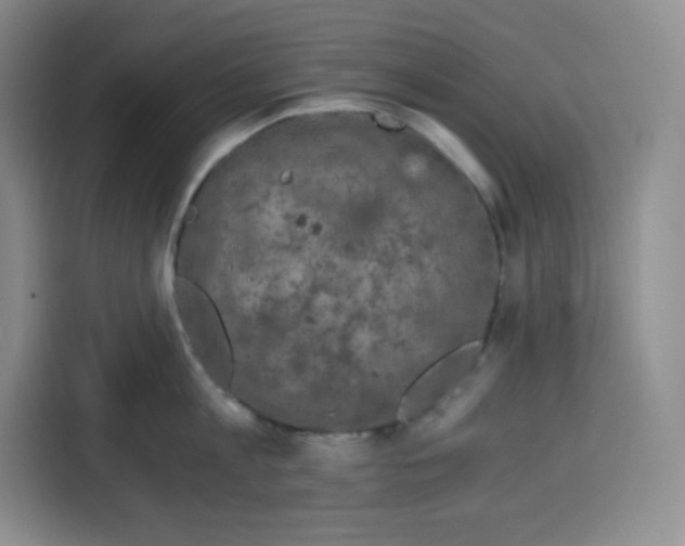X0000115080813200911241141