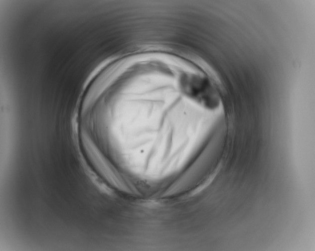 X0000115080814200911241141