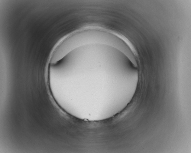 X0000115080815200911241141