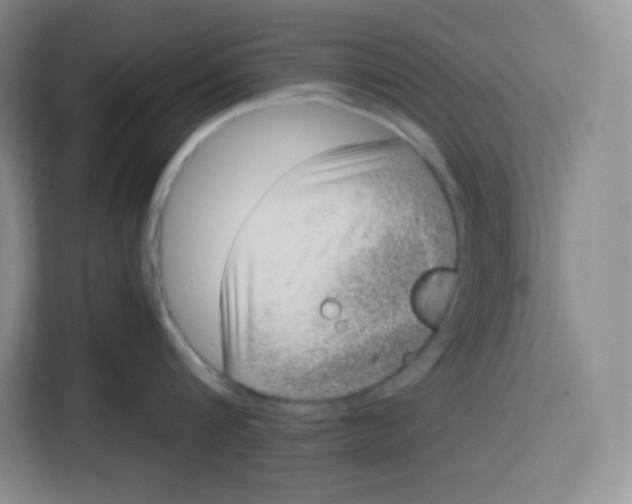 X0000115080816200911241141