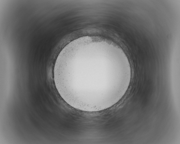 X0000115080820200911241140