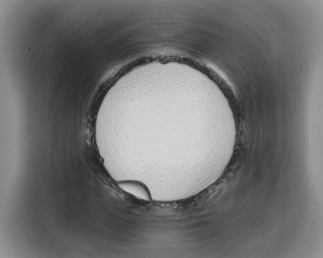 X0000115080823200911241140