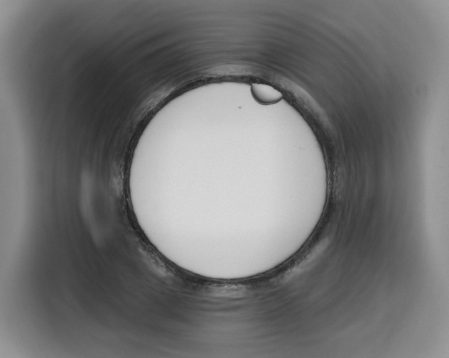 X0000115080833200911241140