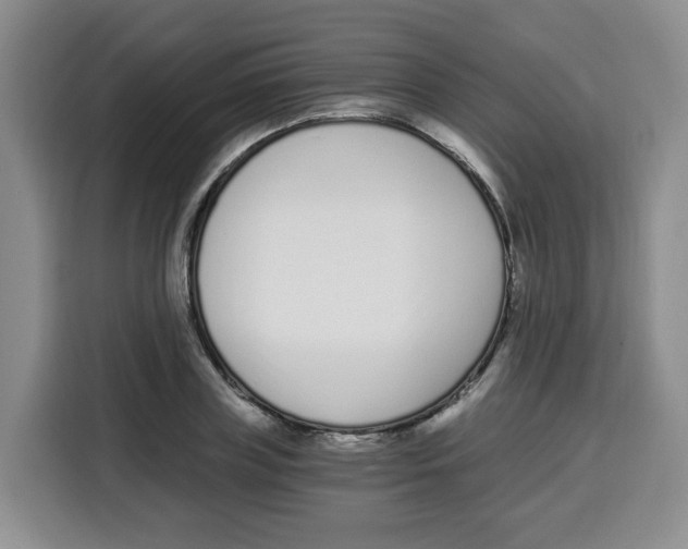 X0000115080835200911241140