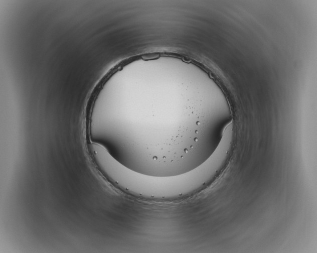 X0000115080836200911241140