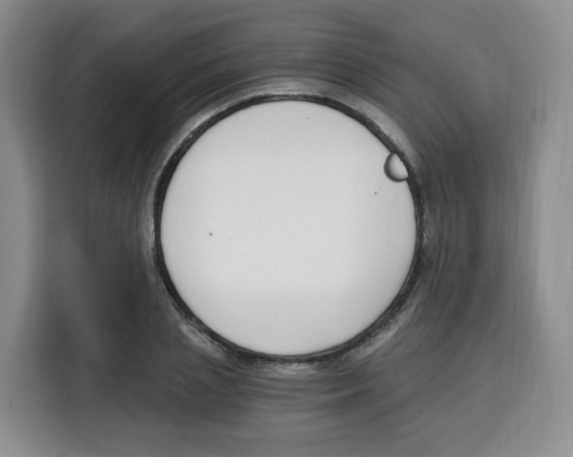 X0000115080837200911241140