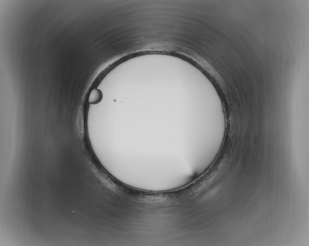X0000115080838200911241140