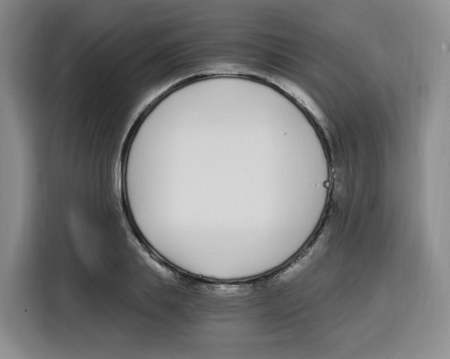X0000115080839200911241140