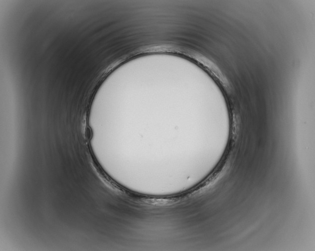 X0000115080841200911241140