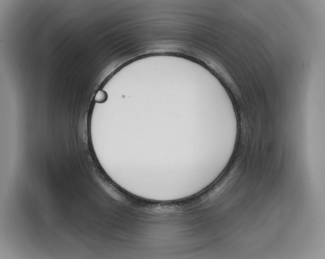 X0000115080842200911241140