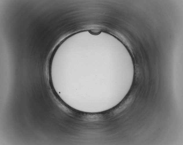 X0000115080843200911241140