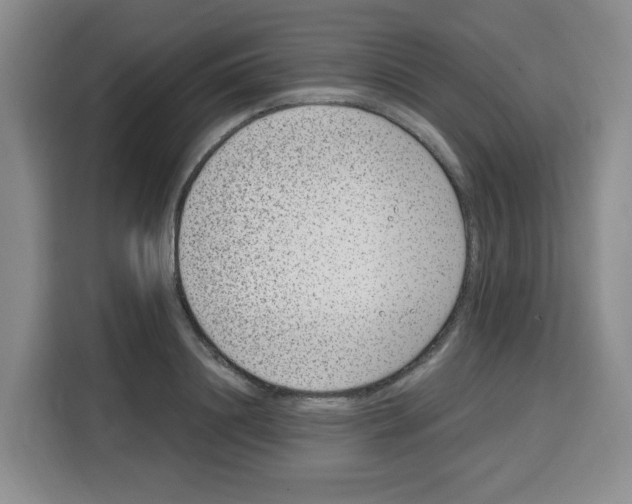 X0000115080844200911241140