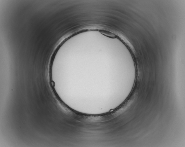 X0000115080845200911241140