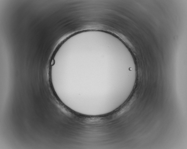X0000115080846200911241140