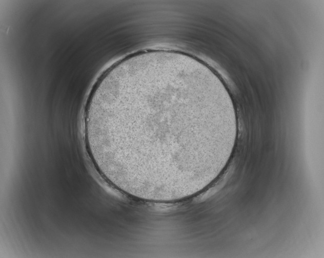 X0000115080848200911241140
