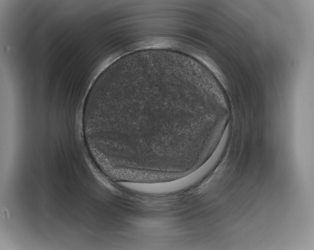 X0000115080850200911241140