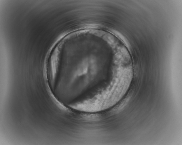 X0000115080851200911241140