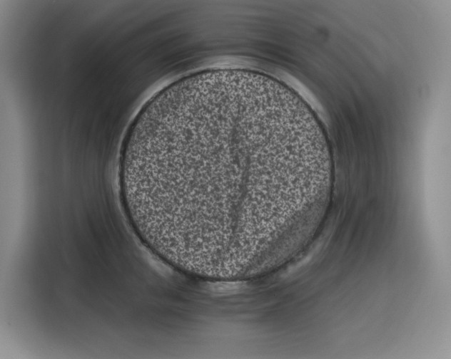 X0000115080853200911241140