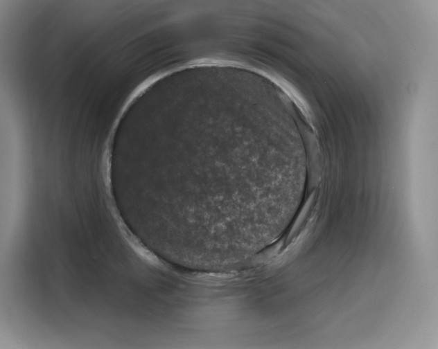 X0000115080854200911241141