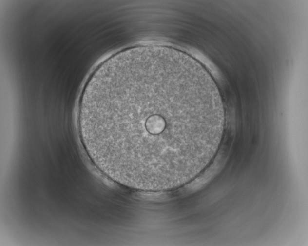 X0000115080856200911241141