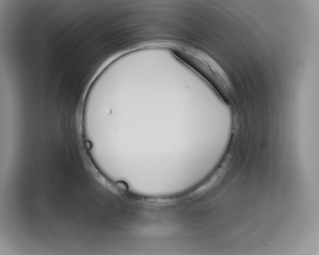 X0000115080860200911241141