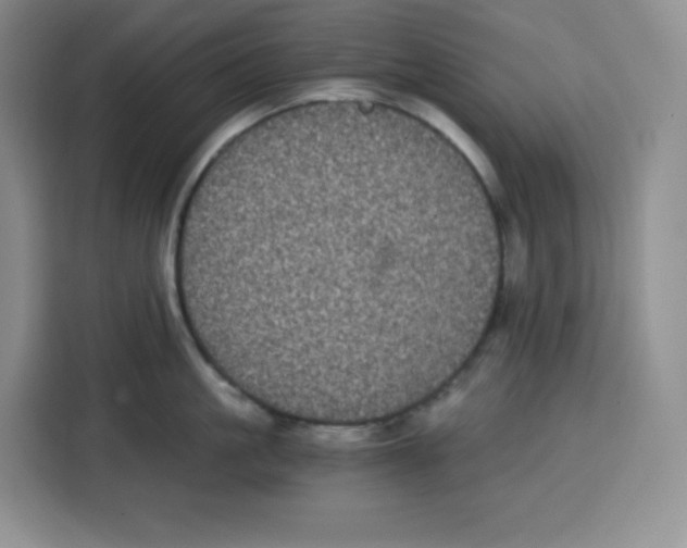 X0000115080861200911241141