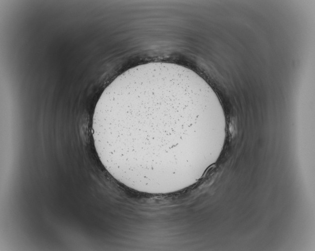 X0000115080867200911241140
