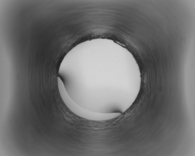 X0000115080868200911241140