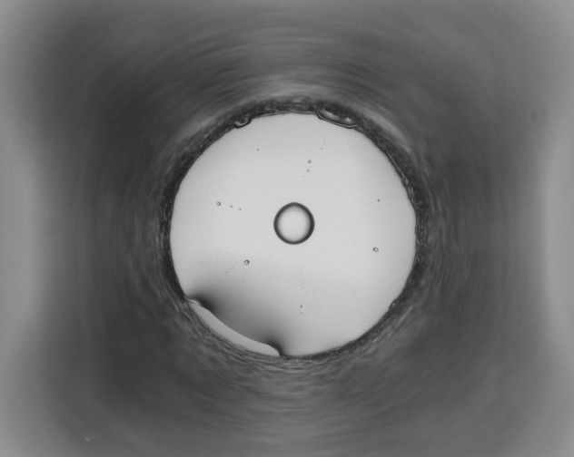 X0000115080869200911241140