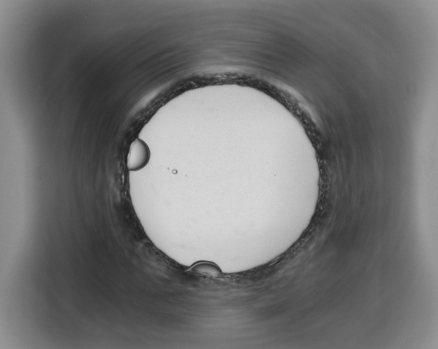 X0000115080871200911241140