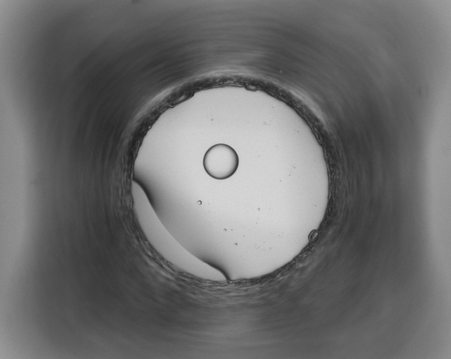 X0000115080872200911241140