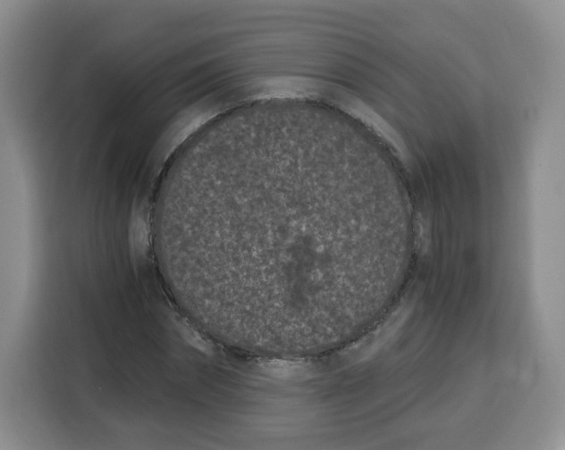 X0000115080874200911241140