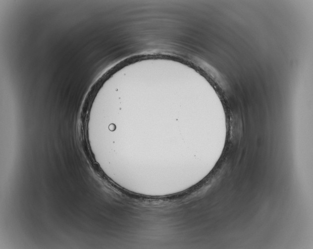 X0000115080876200911241140