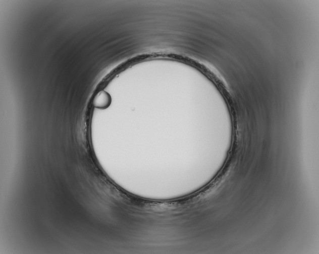 X0000115080879200911241140
