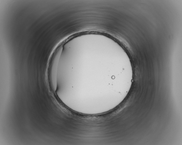X0000115080880200911241140