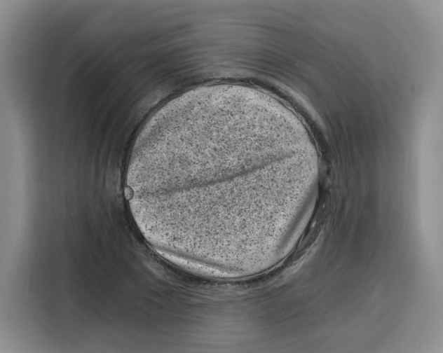 X0000115080881200911241140