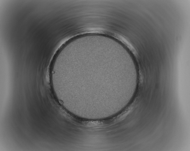 X0000115080883200911241140