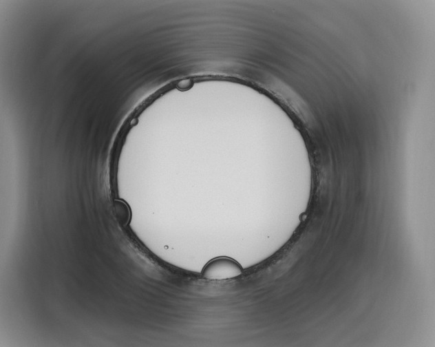 X0000115080884200911241140