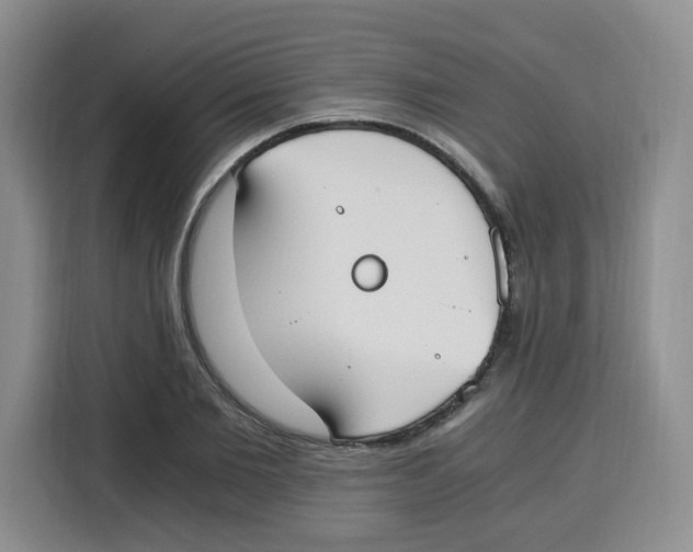 X0000115080885200911241140