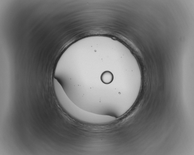 X0000115080889200911241140