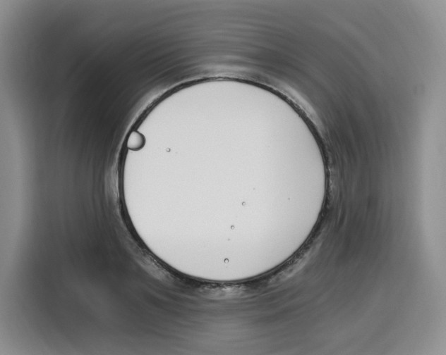 X0000115080891200911241140