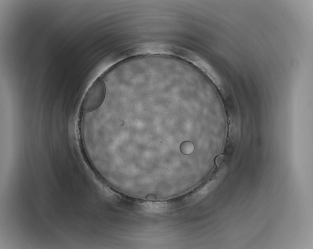 X0000115080893200911241140